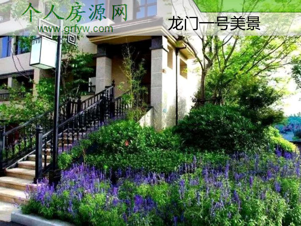 洛阳龙门一号实景图