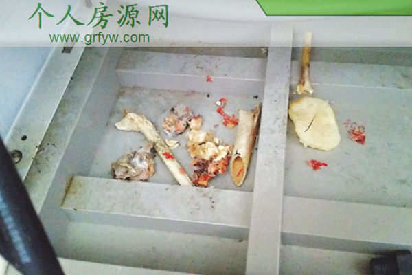 高层建筑里的老鼠咬电线住空调外机让人烦心