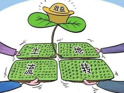 林业公司租土地搞开发长期拖欠租金