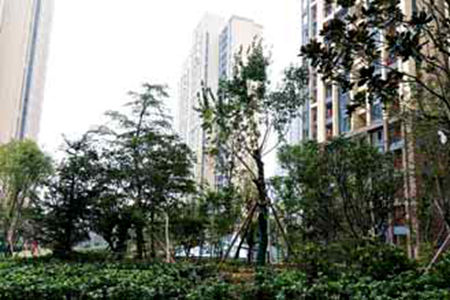鹤壁地产总评榜，照着榜单买好房