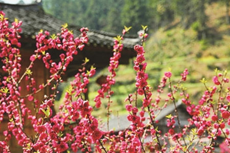 舟山桃花岛民宿海景房