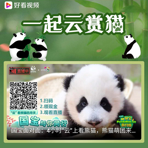 直播：最萌熊猫天团来袭视频截图