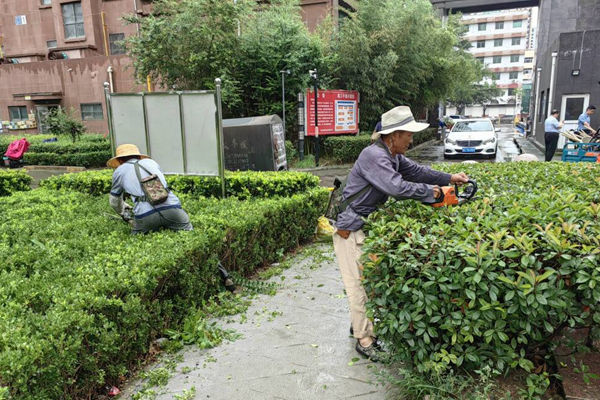 物业和业主谁的权力大 香江城小区物业谁来确定的